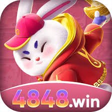 4848win Official v3.0.6